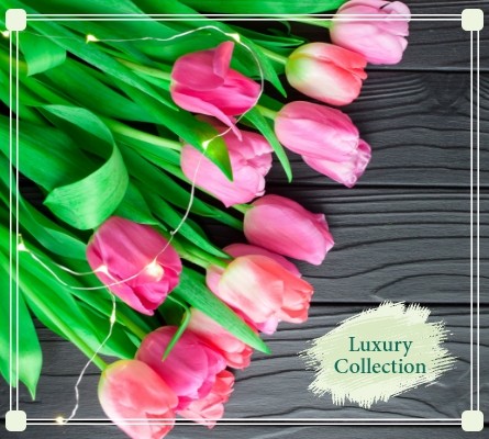 Luxury Collection