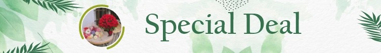 Special Deal Bahrain