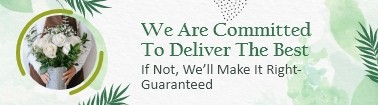 We are commited to Deliver the best