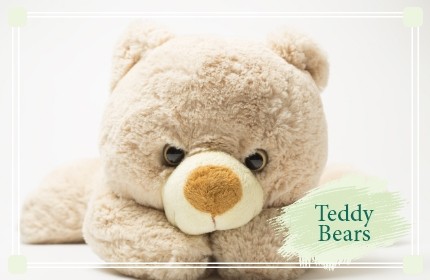 Teddy Delivery Bahrain