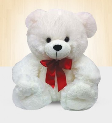 A cute white bear approximately 12 Inches ( 30 - 45 Cms ) Small White Bear