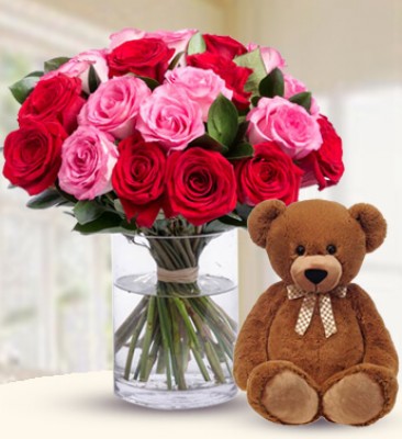 Bunch of of 24 Red and Pink roses and Medium size Brown teddy bear Romantic Combo
