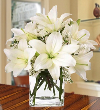 3 Stem of White Lilies (min 9 Flowers) in a glass Vase. (one sided round arrangement) Classic White