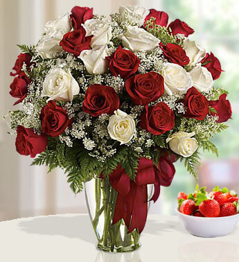 30 Stems Of Red & White Roses with White Gypsophelia Fillers in a Glass Vase Strong Passion 30