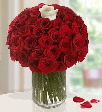 100 Red Roses & 1 White Rose in a Glass Vase Bold Bouquet ( 101 Roses )