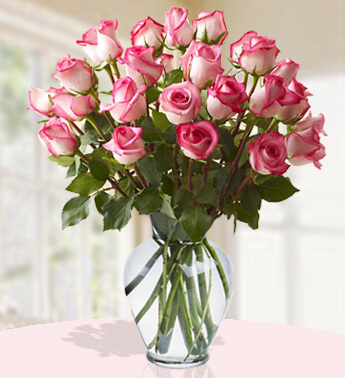 24 Pink Roses in a Glass Vase Perfect Pink