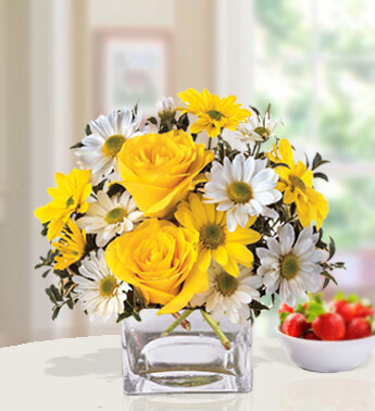 3 stems of Yellow Chrysanthemum, 3 stems of White Chrysanthemum ,3 Yellow Rose in a Cube Glass Vase (one sided round arrangement) Morning Glow