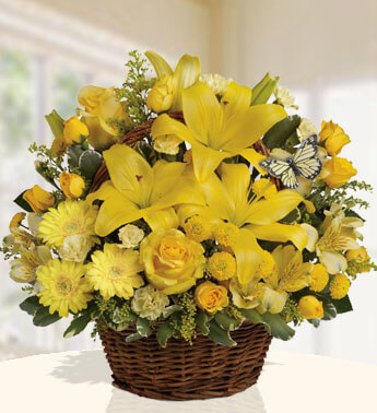 Basket arrangement of 4 stems of yellow lilies, 3 gerberas, 15 roses, 6 stems of chrysanthemums and delicate green leaves. (one sided arrangement) Summer Picnic