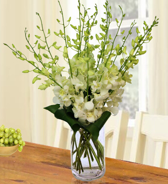 Arrangement of 10 White Orchids with fillers in a glass vase. Grand Celebratory