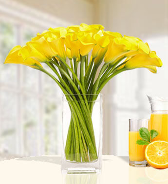 20 Calla Lilies in a glass Vase. Sunshine Fields
