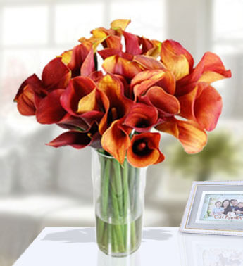 20 Calla Lilies in a glass vase. Sunburst
