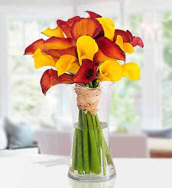 10 stems of Yellow and 10 stems of Orange Calla Lily in a glass vase. Colorful Bliss
