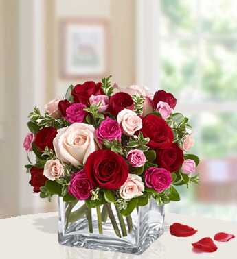 24 Pink, Red and Peach Roses in a cube vase. Ravishing Roses