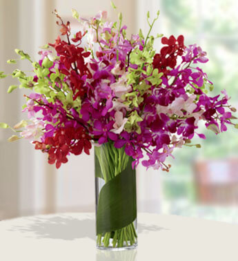 10 Red, 20 Purple, 10 Pink, 10 Green Mokara Orchids in a glass vase. Vibrant Color