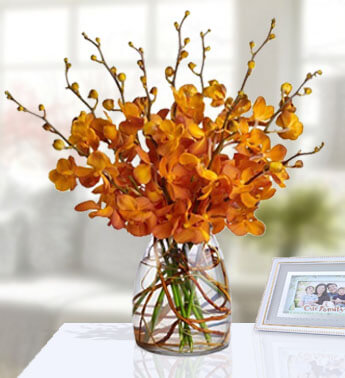 10 Stems Of Orange Mokara Orchids in a glass vase. Daisy Dreams