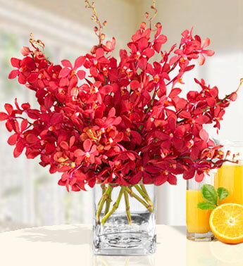 20 Red Mokara Orchids in a glass vase. Red Mokara Orchids