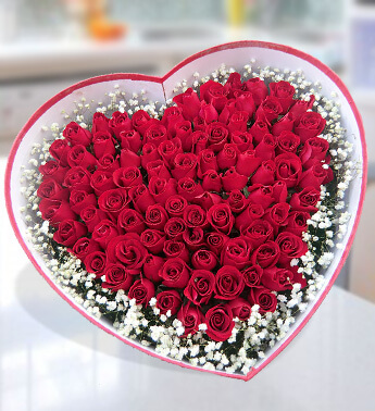 Heart shape Box arrangement of 100 Red Roses with white fillers. Love at its peak
