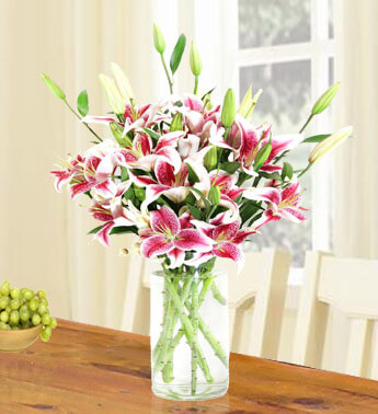 15 stems of Pink Lilies in a glass vase. Magnificent Pink