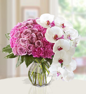 Arrangement of 15 Purple Rose , 20 Purple Carnation , 2 Stems of White Phalaenopsis Orchid in a vase(One side round arrangement) Height of Sophistication