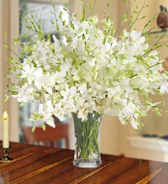 40 Stems of White Orchid in a glass vase. Upscale Tastes