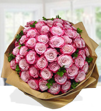 Bunch of 50 Purple Rose in nice wrapping. Lovely Roses
