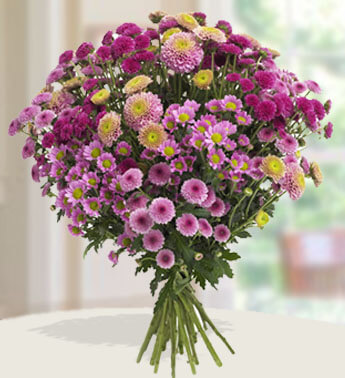 Bunch of 6 stems of Pink and 7 stems of Purple Chrysanthemums in nice wrapping. Last Goodbye