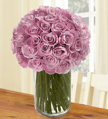 40 Purple Roses in glass vase. Lovely and Luxurious