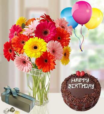 Bunch of 20 Mixed Gerbera with 1 Kg chocolate Cake , 250 gms Patchi chocolate and 3 Latex balloon Bright N Beautiful Combo